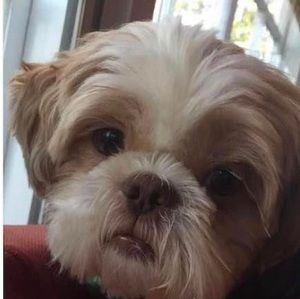 Meet your Posher, Cindy